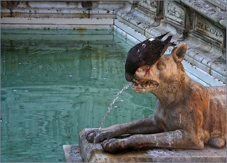 dorst