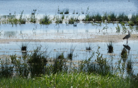 Waterlandschap