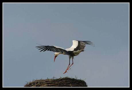 zachte landing