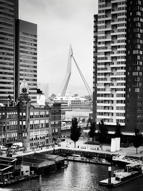 Rotterdam 02