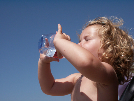 Dorst