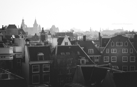 Rooftops | Amsterdam