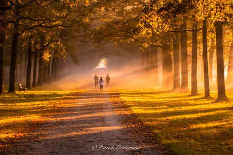 Een mooie zonsopkomst op de koningslaan te koroondomein het loo