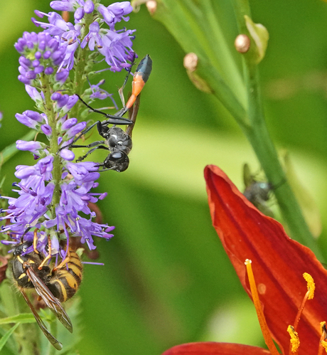 Wat gebeurt daar allemaal?