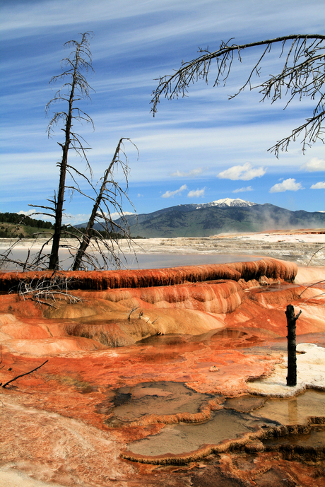 mammoth hot springs