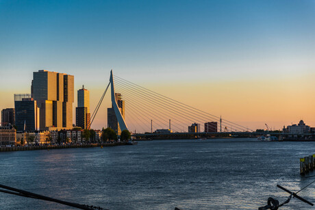 Erasmusbrug sunset