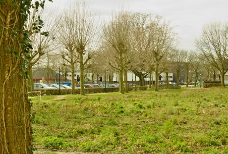 Wandeling in Park Esterveld, foto 7.
