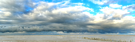 Het Wad, ons werelderfgoed.