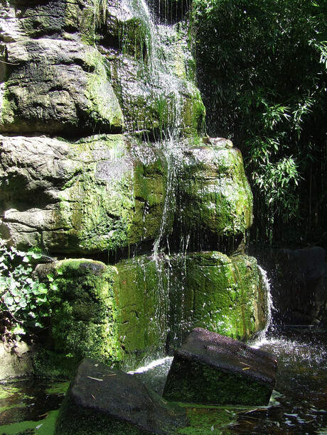 Waterval