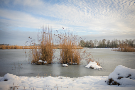 Winterse herinnering