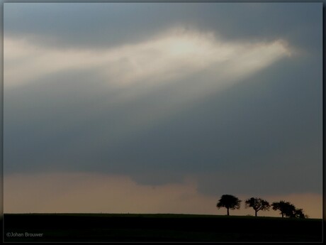 Skylight