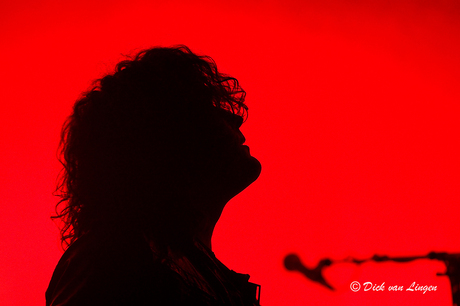 Vincent Cavanagh zanger van Anathema