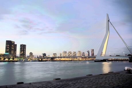 skyline rotterdam