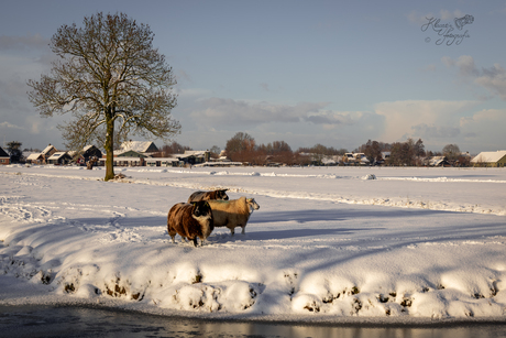 Wollen winterjas aan! 