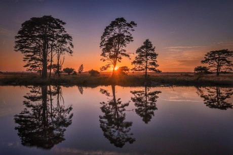 Bomen reflectie en zonsondergang 