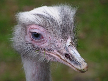 Mooie lelijkheid....