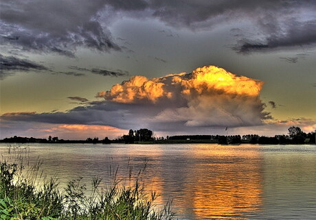 Gouden Wolk