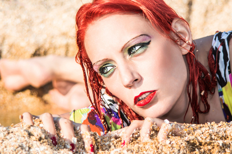 Schelpen Strand Noord Holland