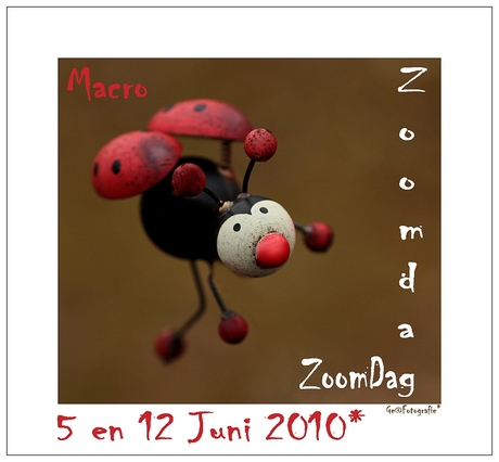 Macro Zoomdag 5 en 12 juni *