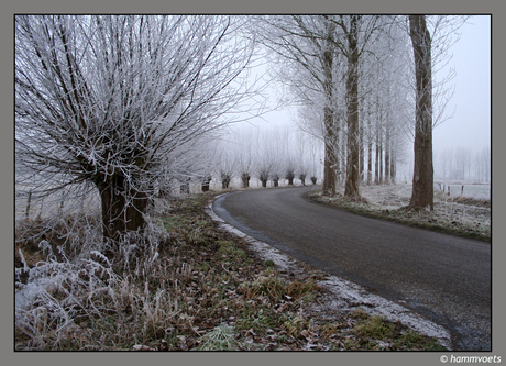 Uitsneeuwende mist