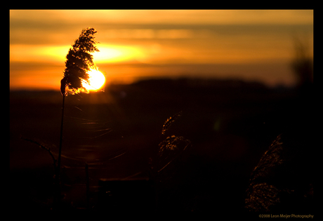 Zonsondergang Paterswolde