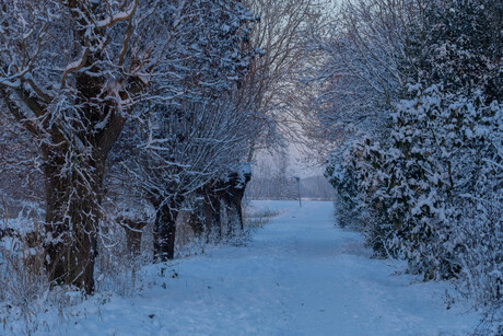 wandelpad in de sneeuw