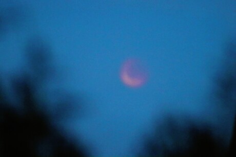 (Bloed) maan verduistering