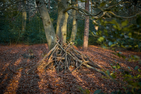 Hutje - Baarnsche Bos - 21 december 2025