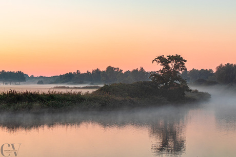 ochtend mist