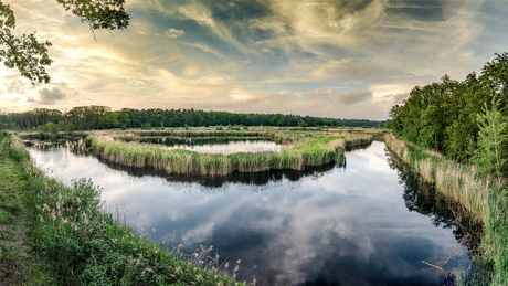 Munsterbos