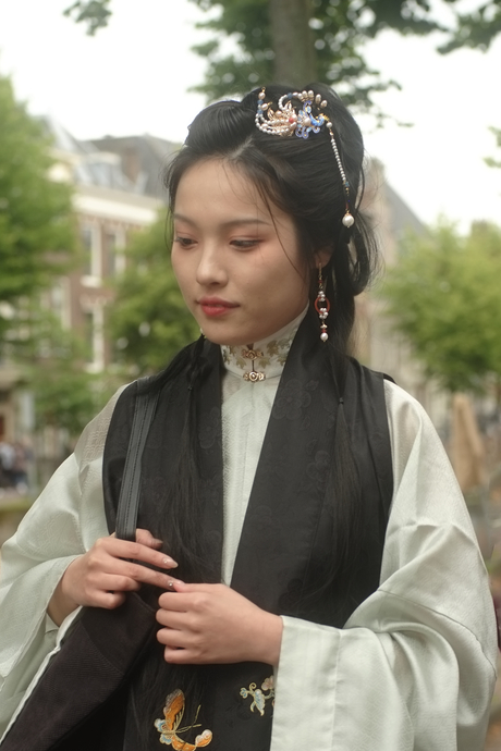 Japanse charme