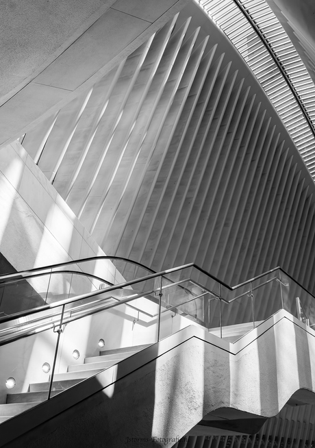 New York Apple Wold Trade Center