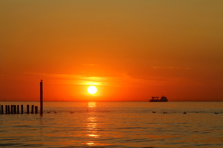 zomer, zon, zee