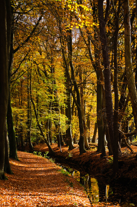 Op en top Herfst 🍂 