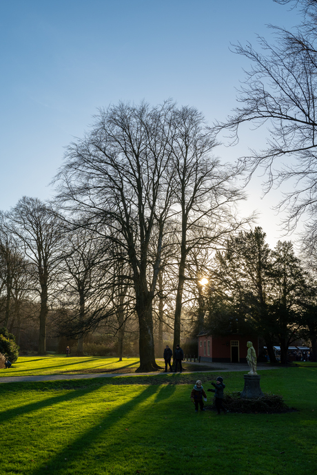 Testfoto's met nieuwe Nikon Zf camera en Nikon 40mm f/2.0