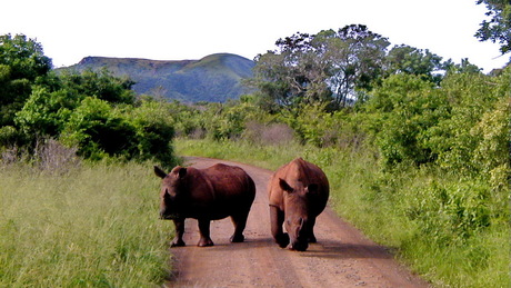 Zuid-Afrika -3-