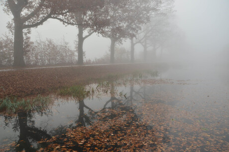 Herfstspiegeling