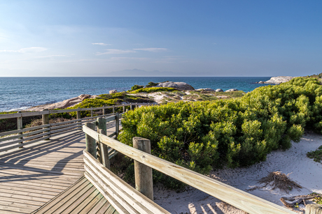 Het pad naar een strand, maar niet voor mensen ...