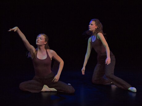 Dans Podium duo in trance