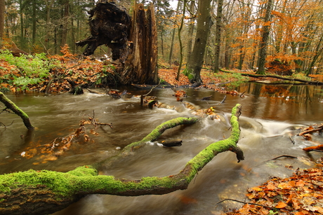 Hoog water in de Hierdense Beek 2