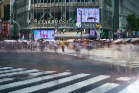 Shibuya crossing Tokyo