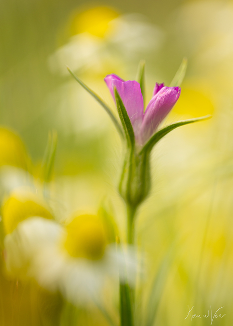 Standing out