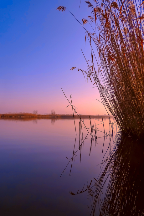 Windstilte in de vroege ochtend langs de Ringvaart bij Broek op Langedijk