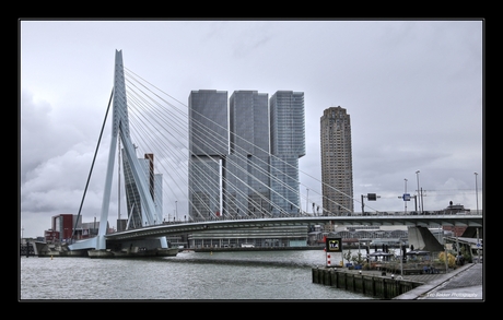 Erasmusbrug