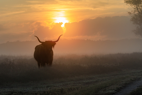 zonsopkomst 