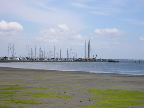 Haven van Schiermonnikoog