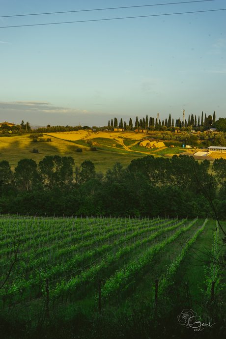 Torrita Di Siena