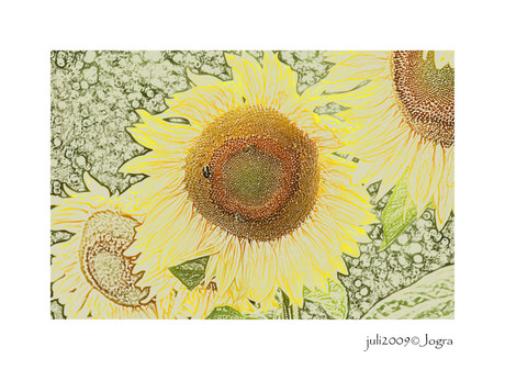 zonnebloemen a la van Gogh