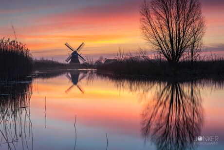 Ochtendglorie aan de Noordermolen