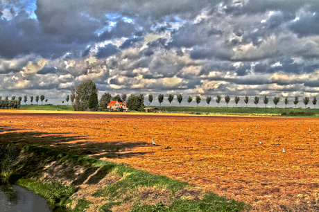 Nederland is zoooo mooi... ( ook in HDR :))